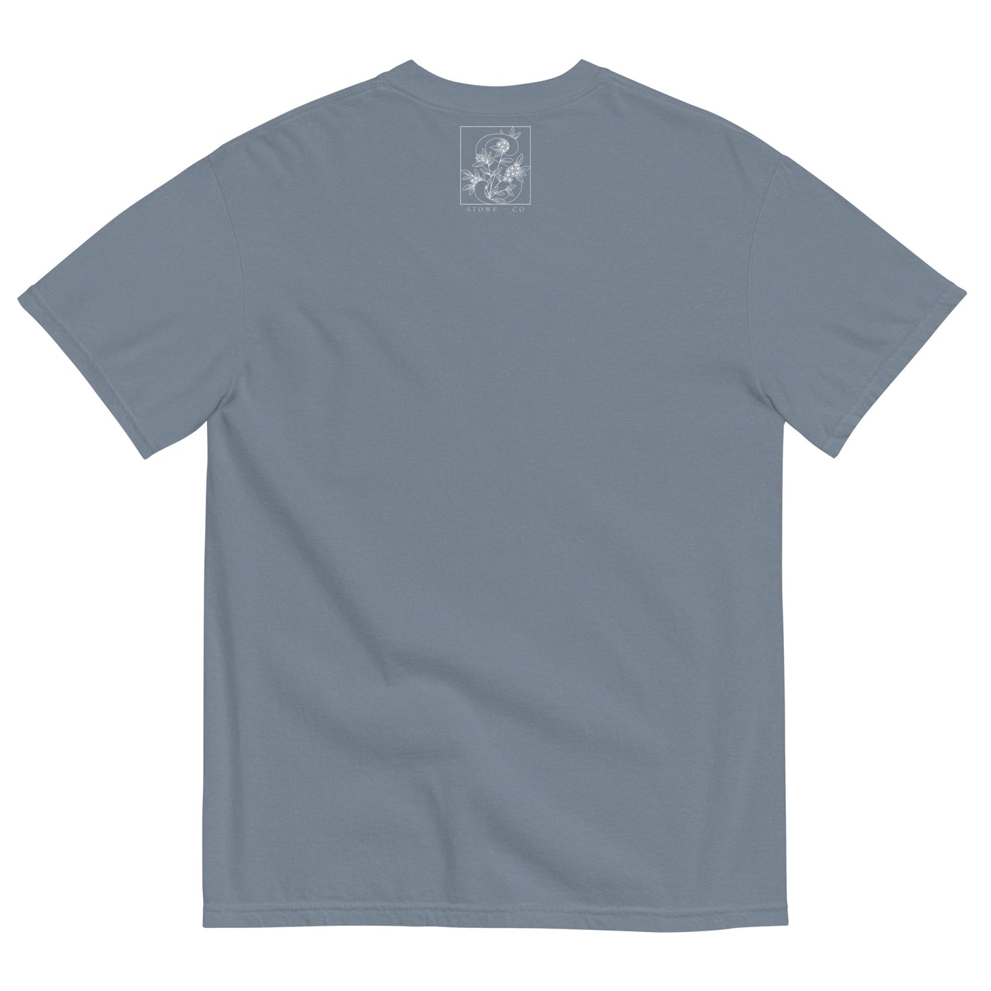 Raising Disciples, Comfort Colors Tee